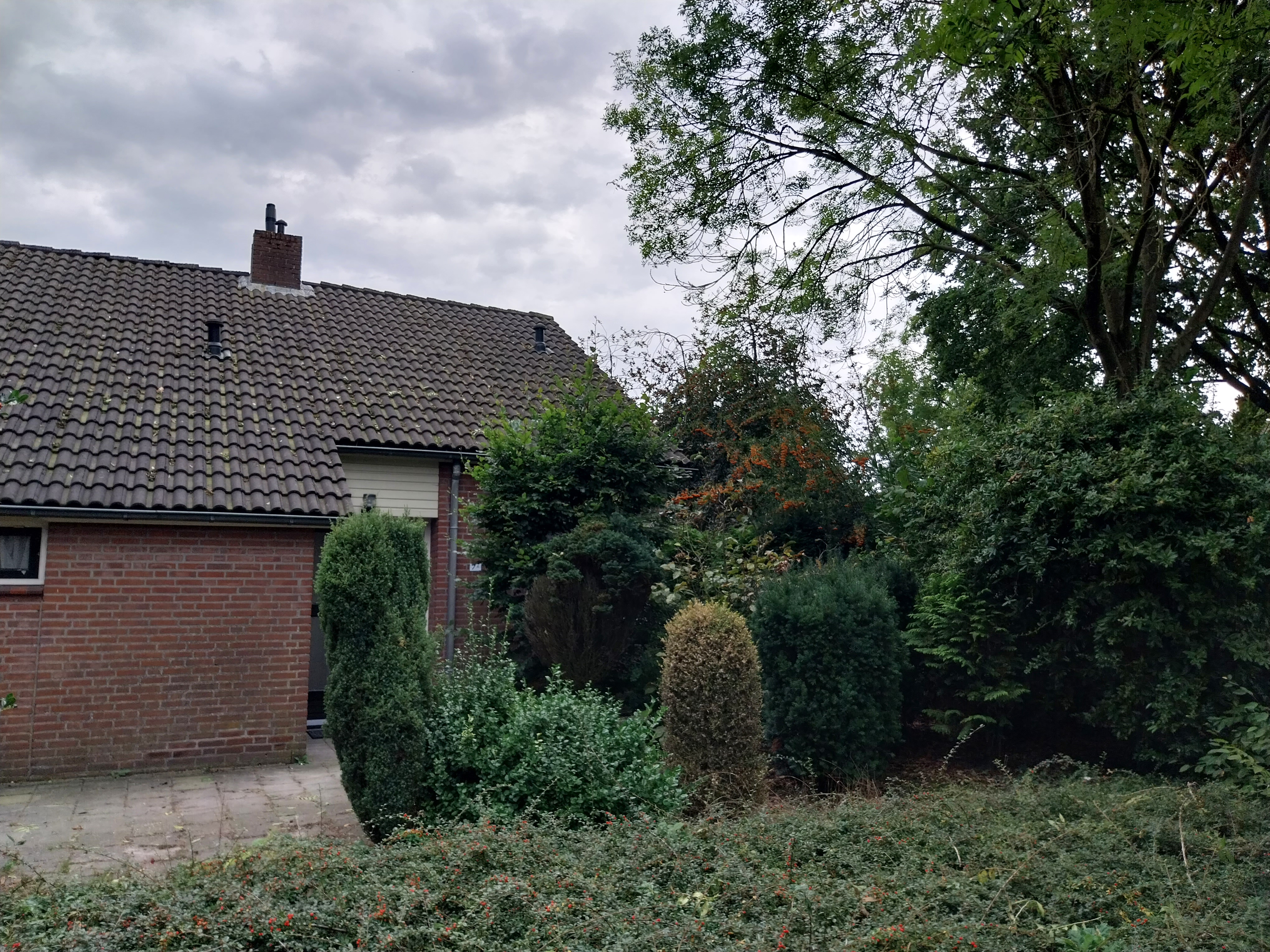Frater Romboutsstraat 7A, 5571 KX Bergeijk, Nederland