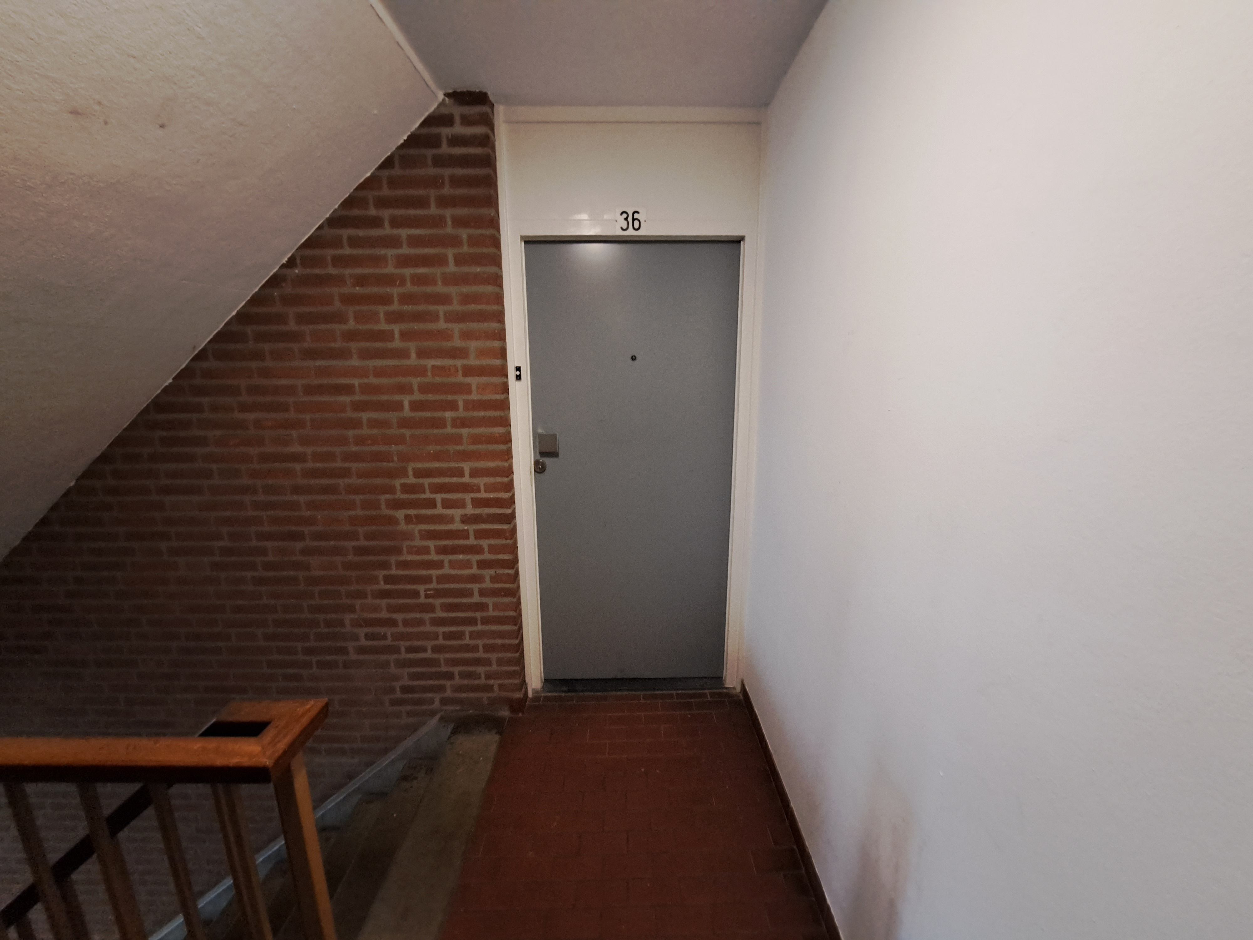 Rudolfusdal 36