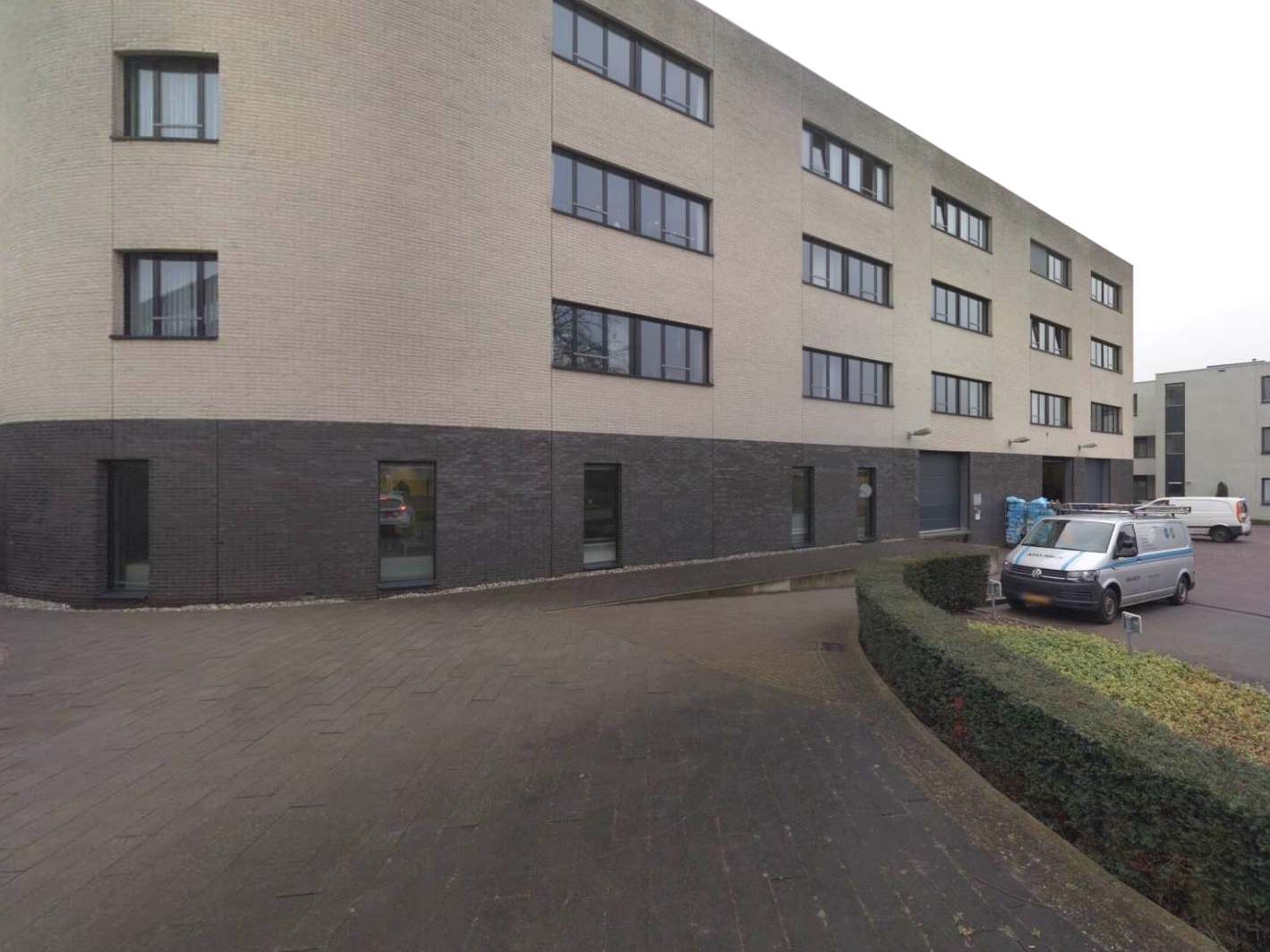 Korenbloem 2