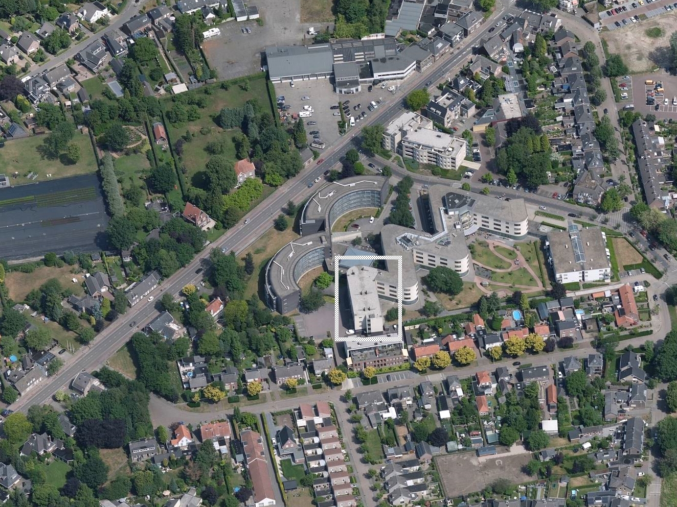 Korenbloem 2