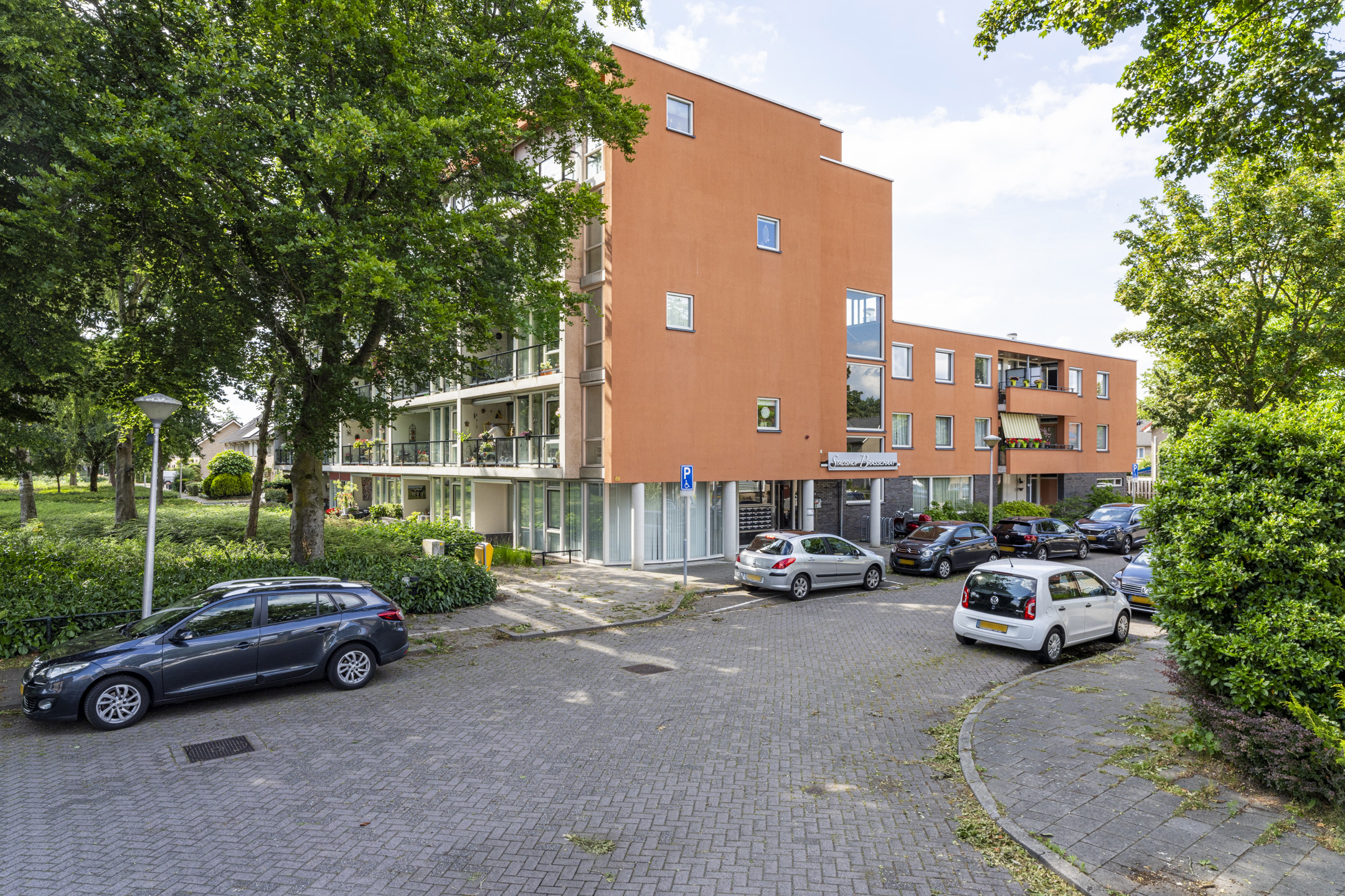 Brasschaatpad 10B