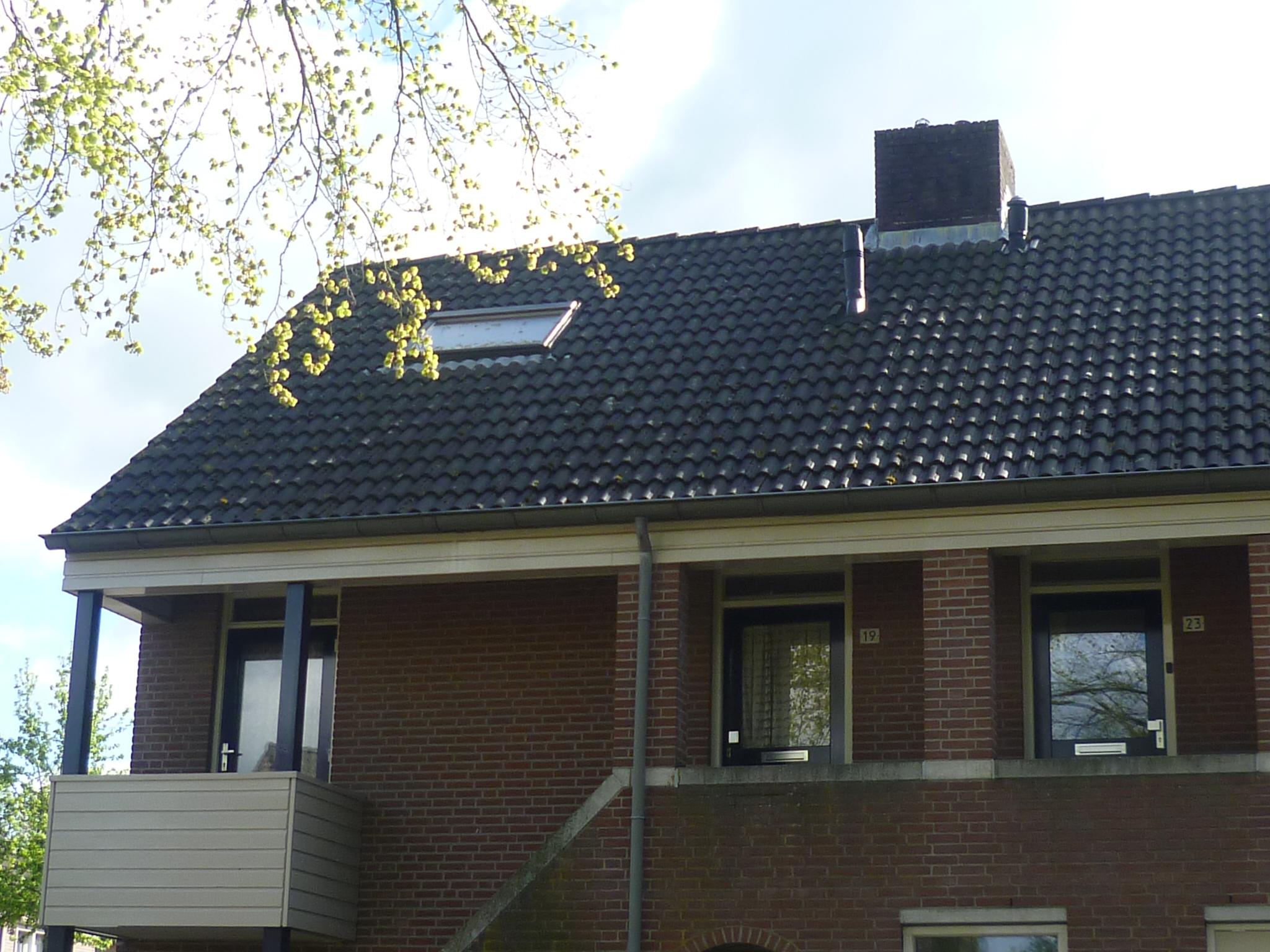 Hooge Akker 19