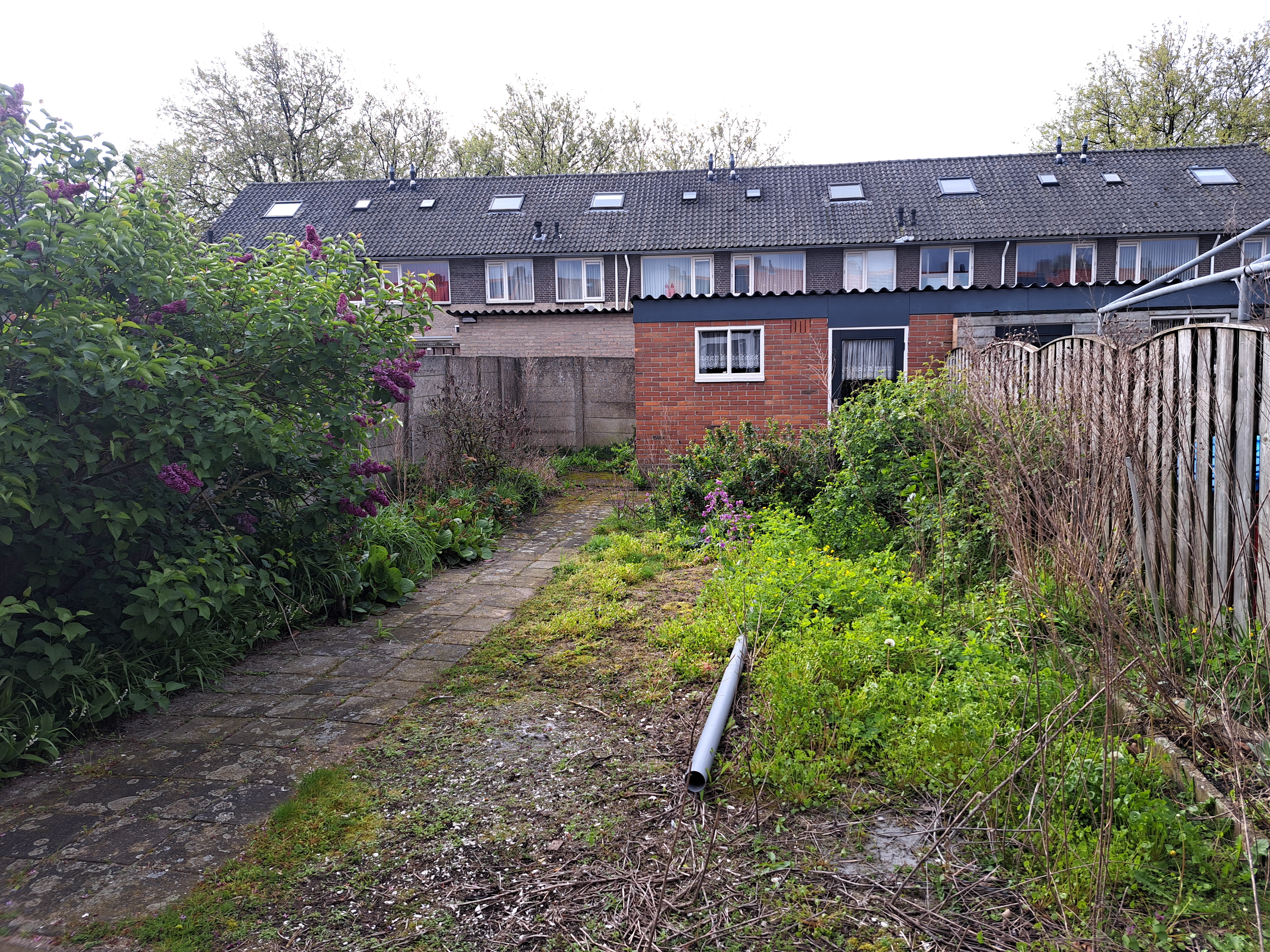 Doctor Ariënsstraat 21