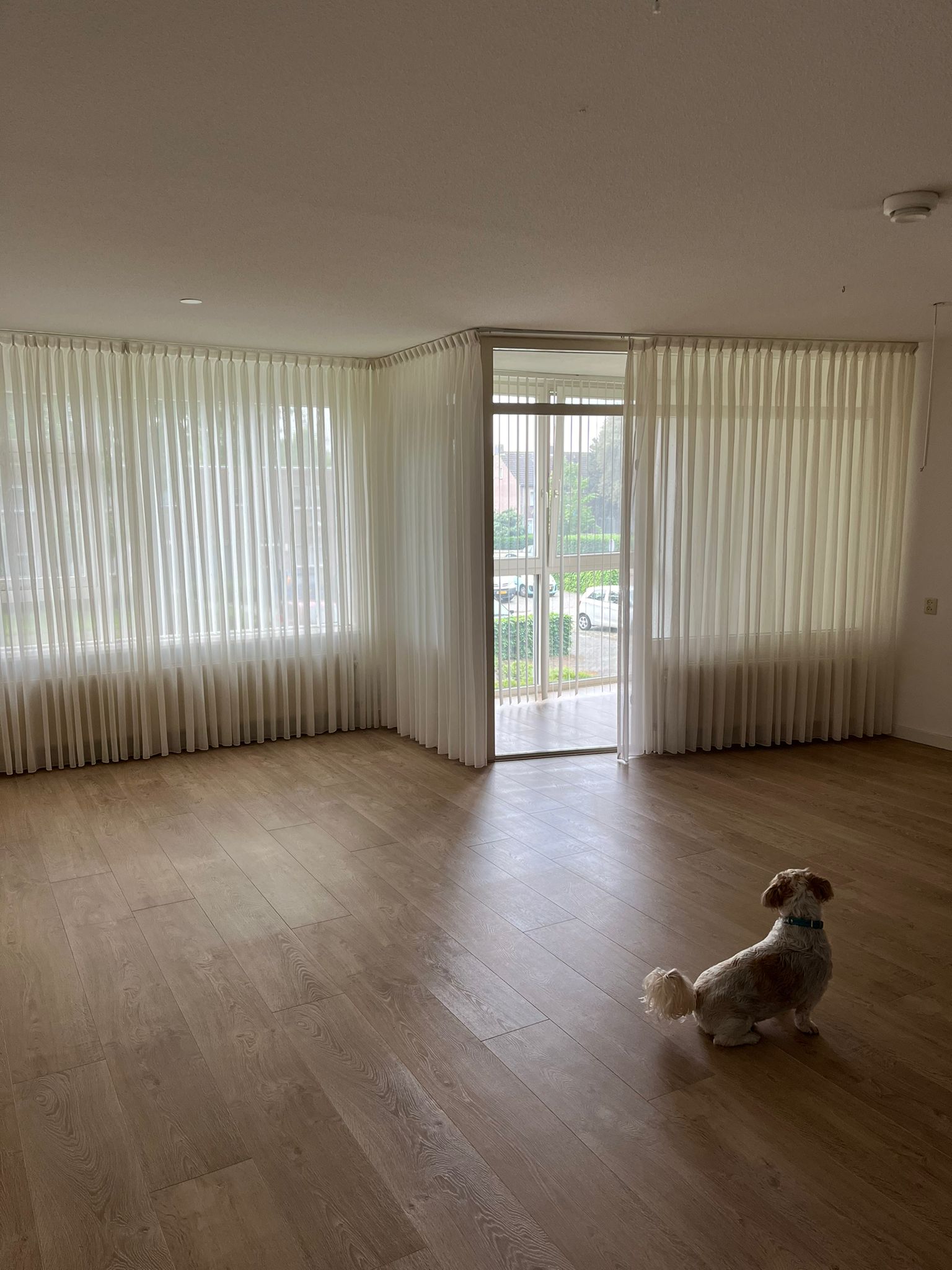 Bleyslaan 65, 5622 GZ Eindhoven, Nederland