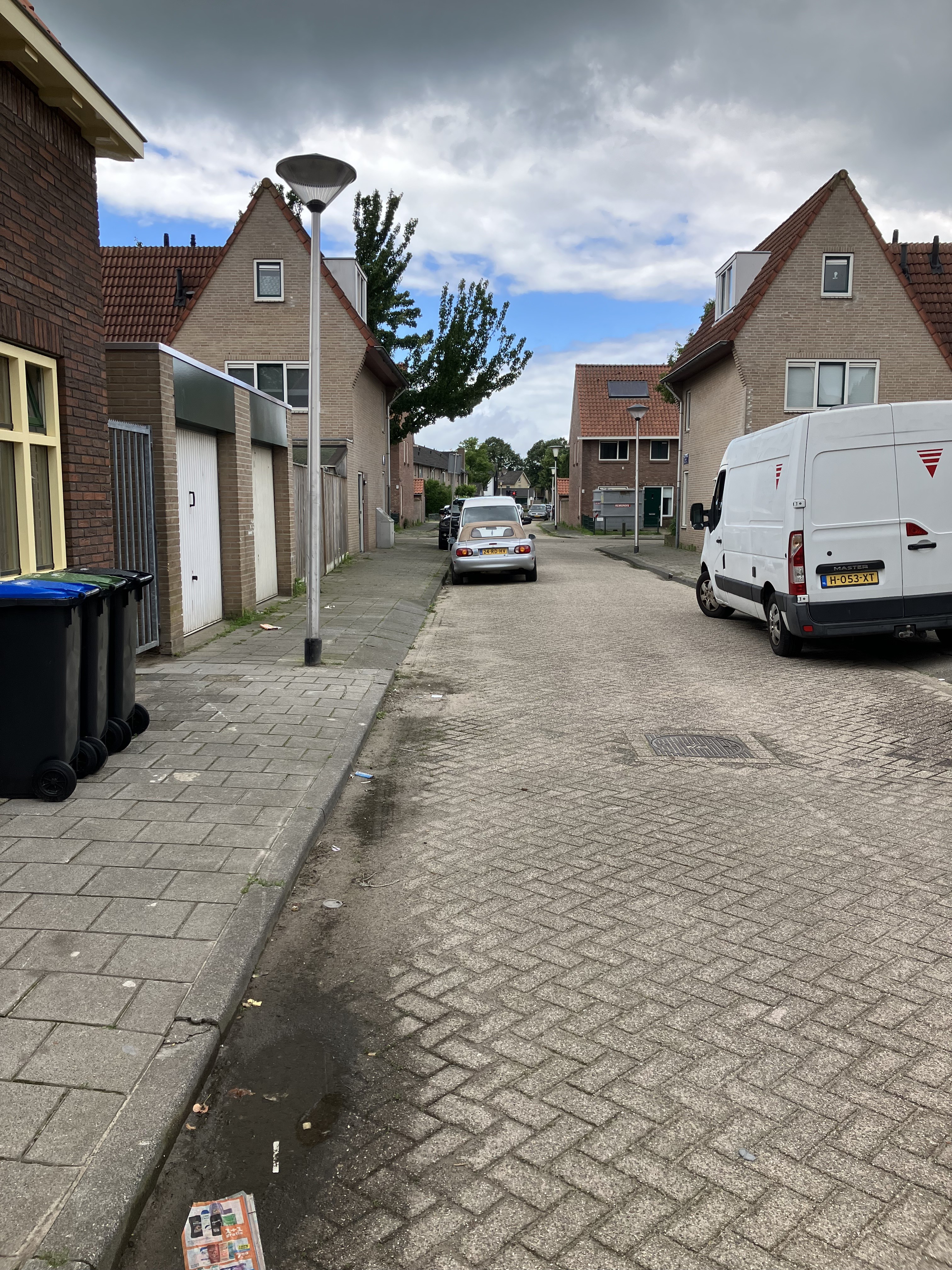 Willem Beringsstraat 103