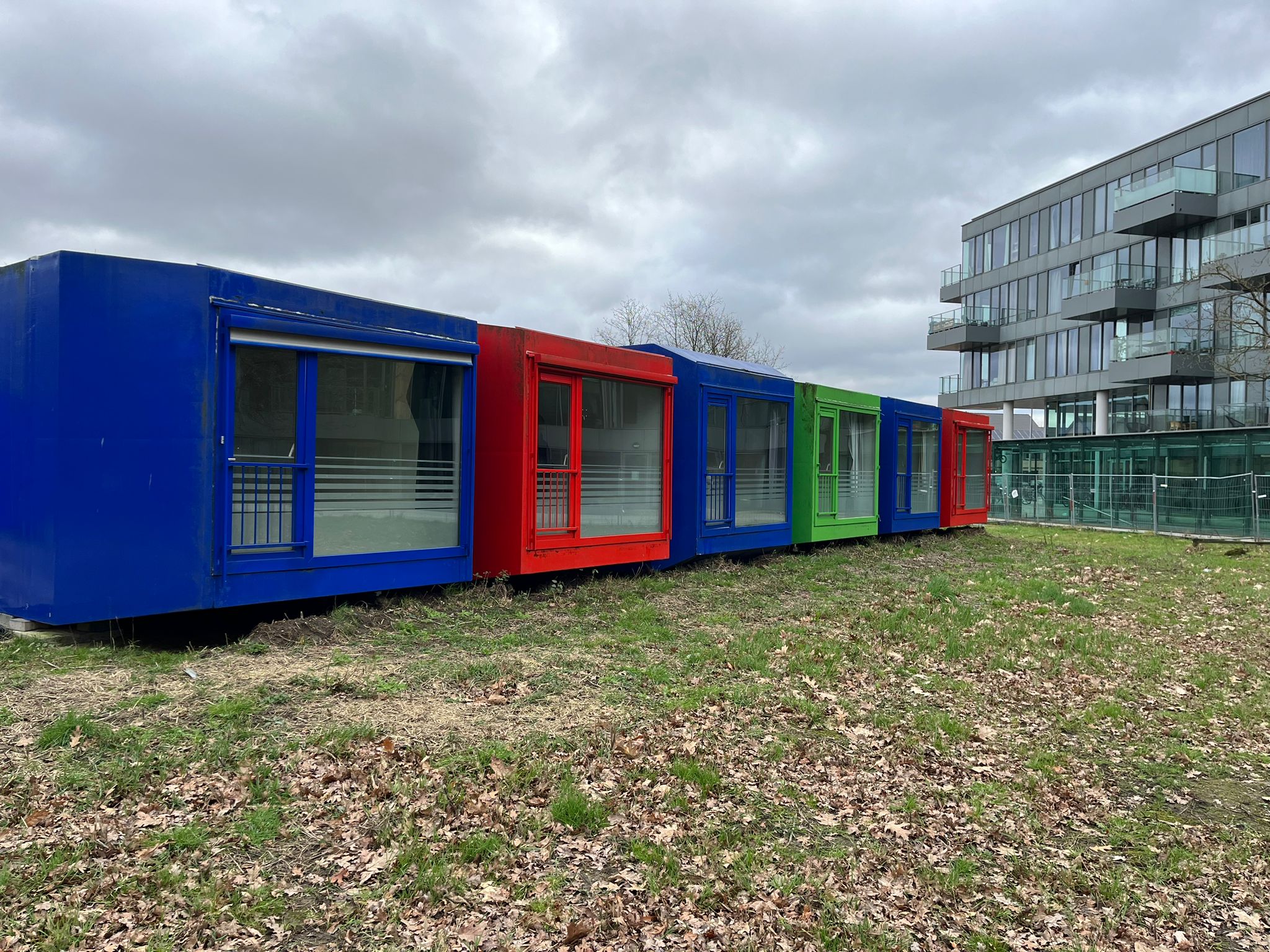 Naaldhout 43t