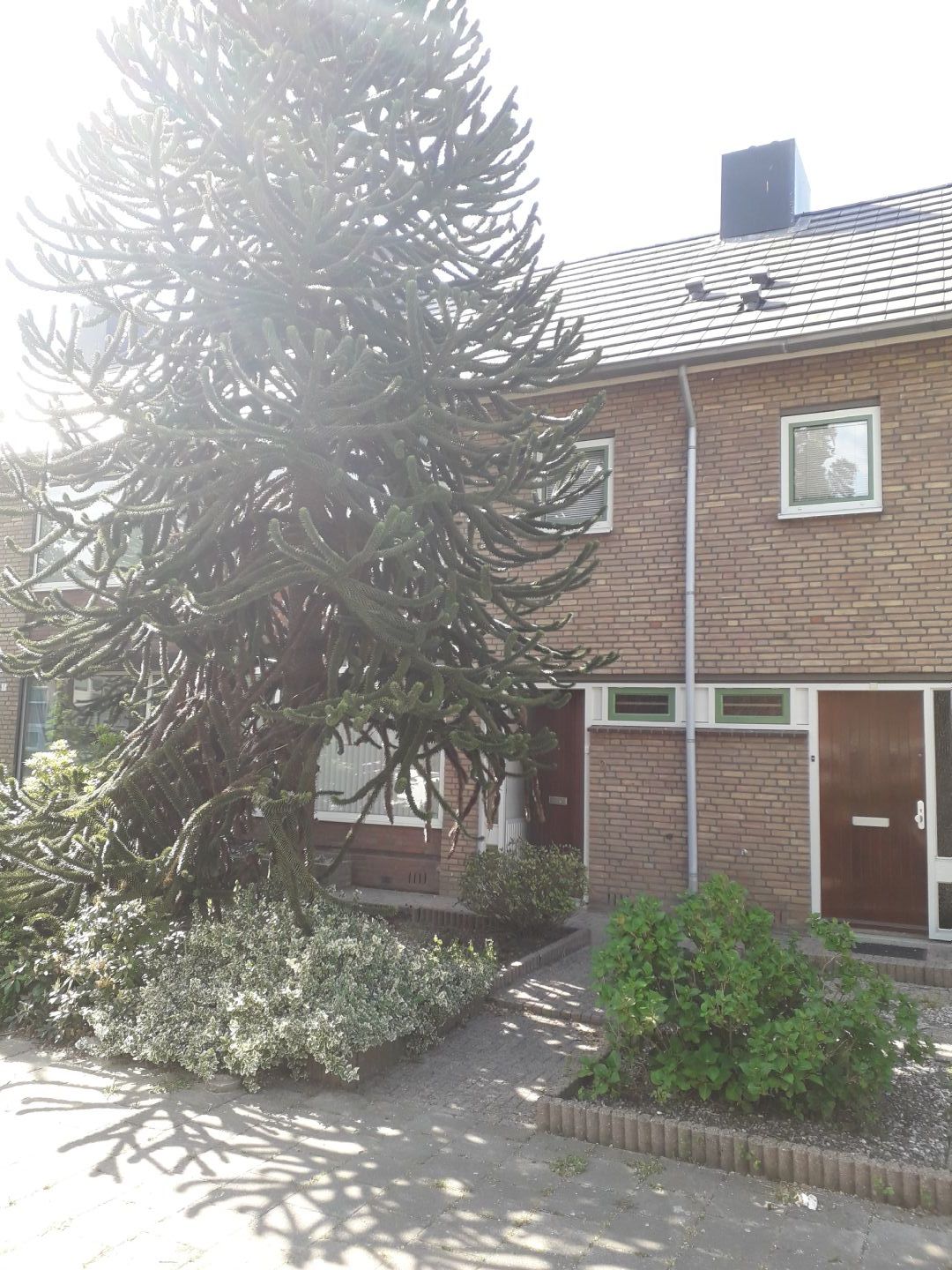 Plutostraat 9