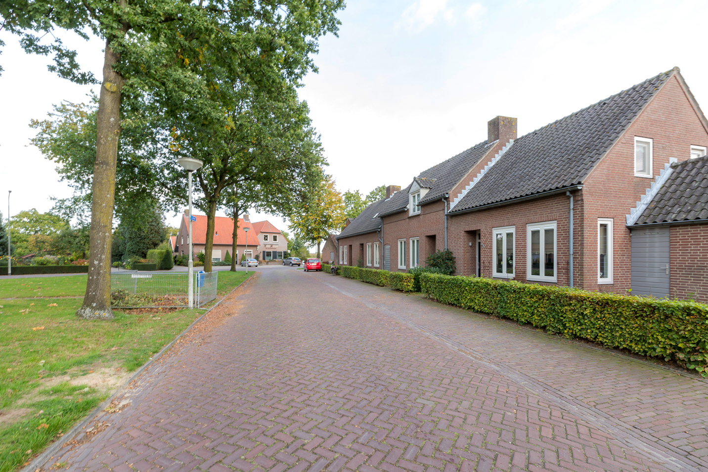 De Geer 1