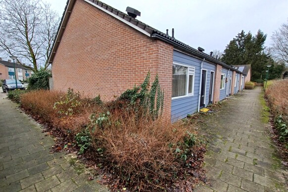 Pieter Willemsstraat 13