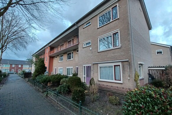 Ridderspoor 2