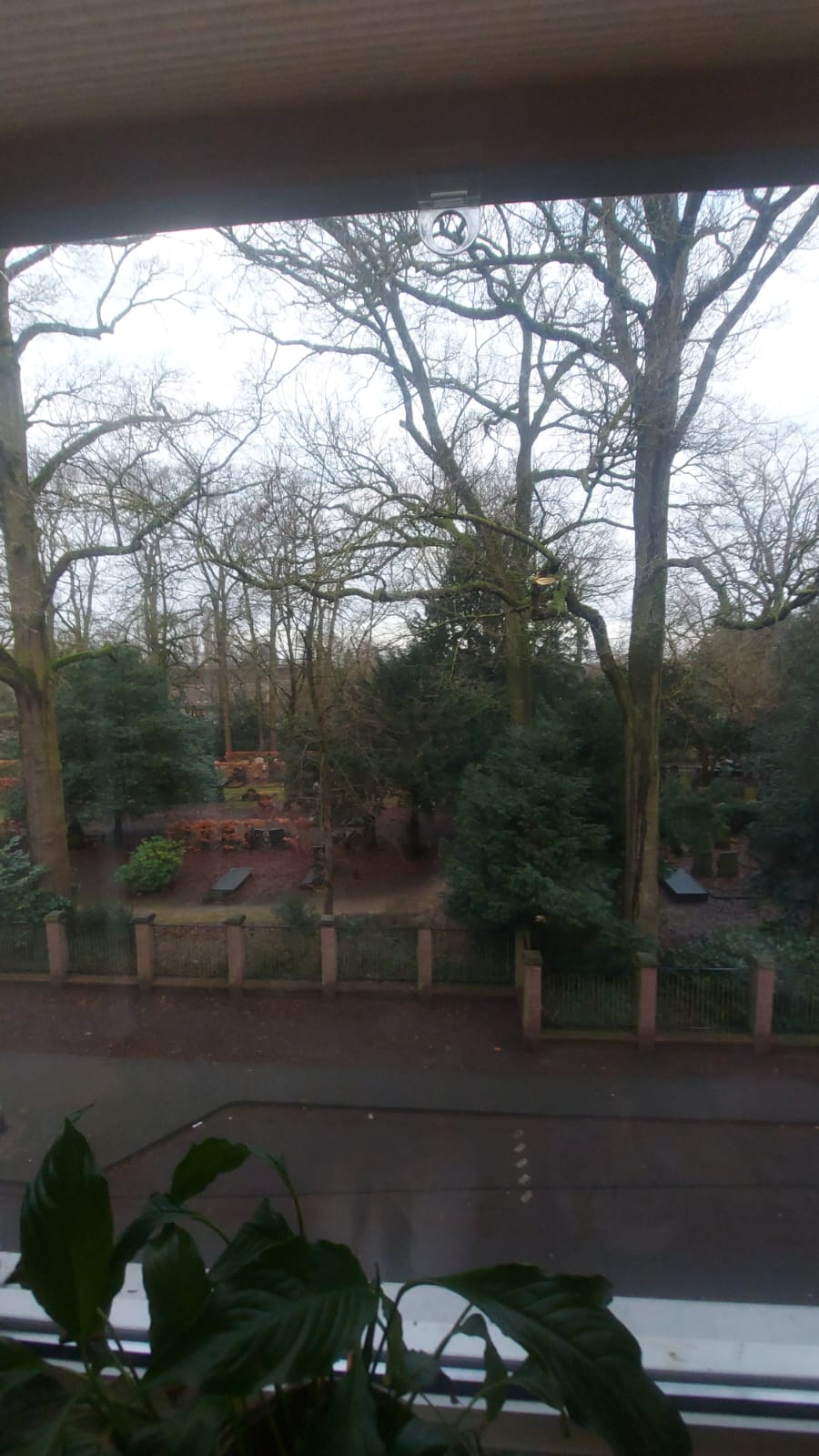 Sjef Gerrisstraat 17