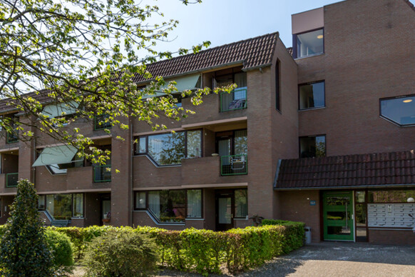 Hof 53