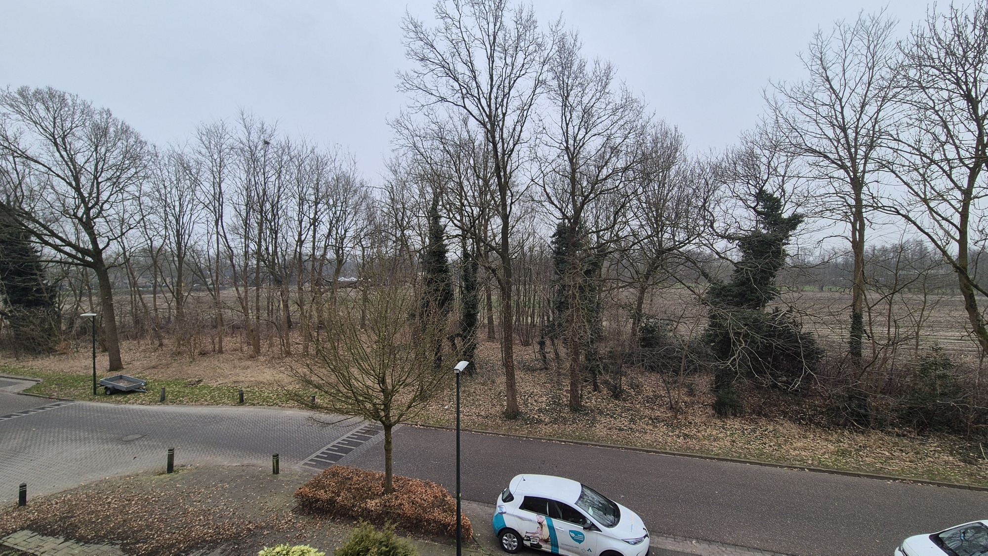 Lijsterbeslaan 68