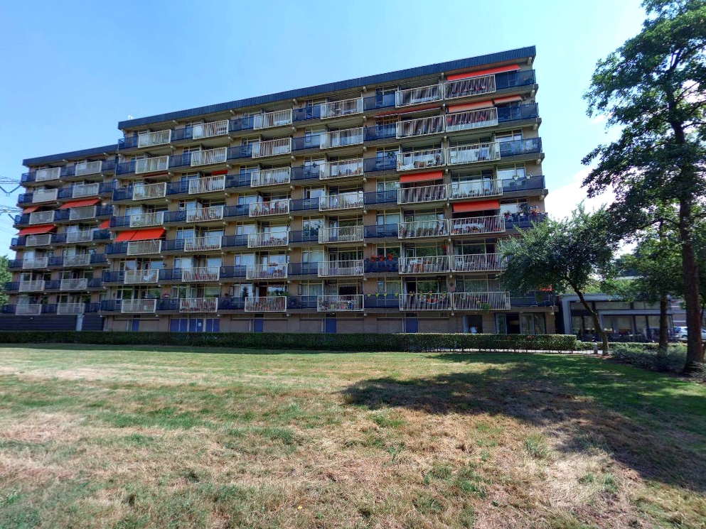 Fruinlaan 207