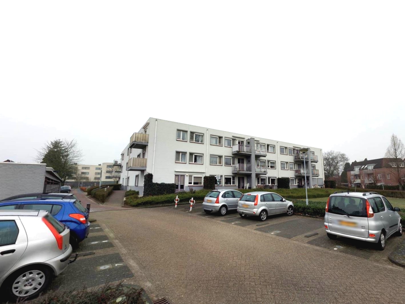 Schutsboom 2