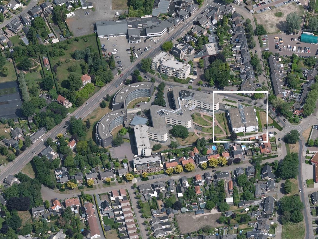 Schutsboom 2