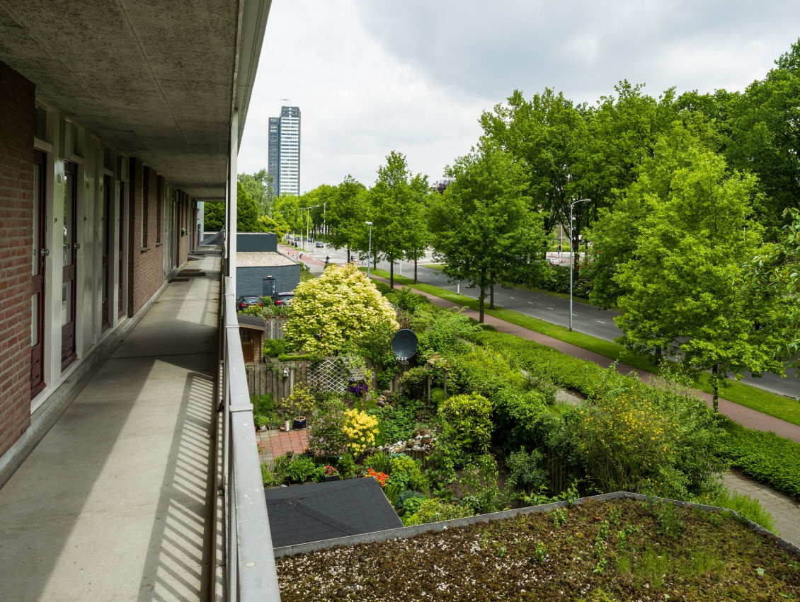 Pisanostraat 528