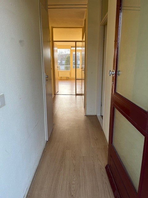 Pisanostraat 528
