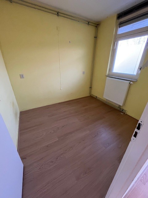 Pisanostraat 528