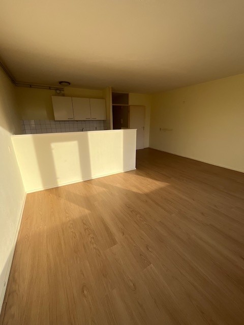 Pisanostraat 528