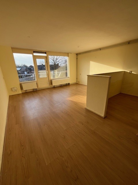 Pisanostraat 528