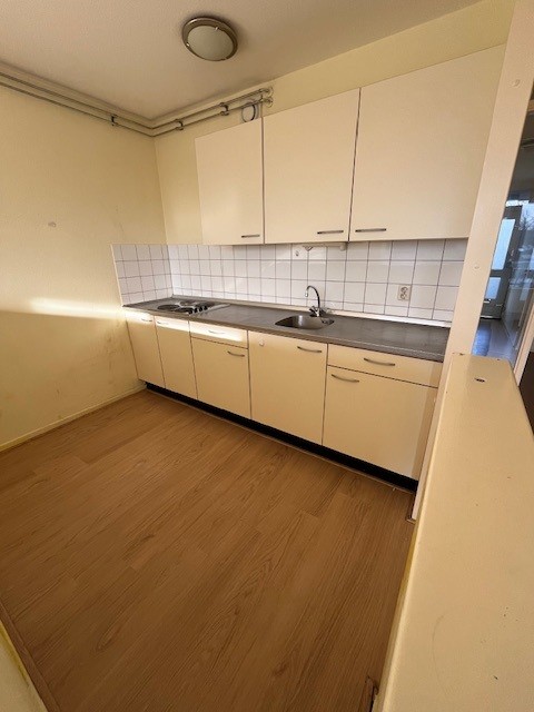 Pisanostraat 528