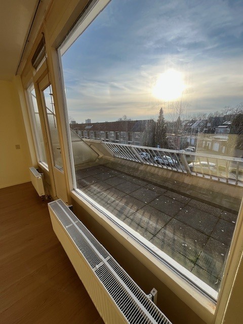 Pisanostraat 528