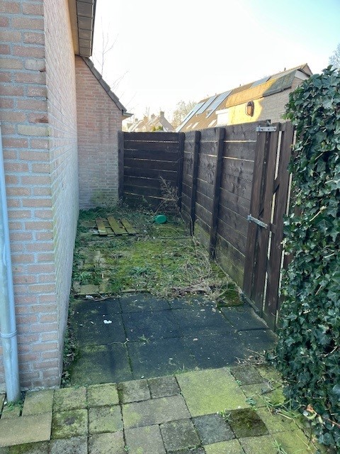 Schoor 4