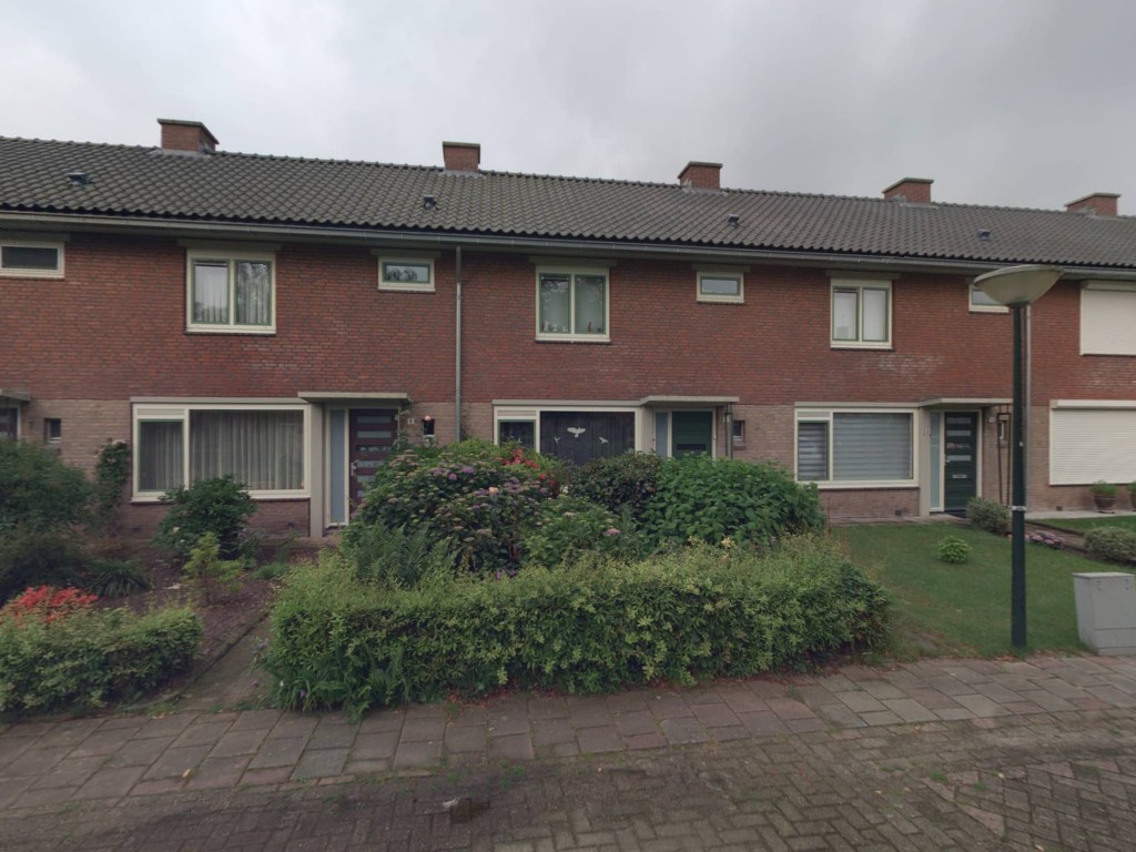Boterbloem 11