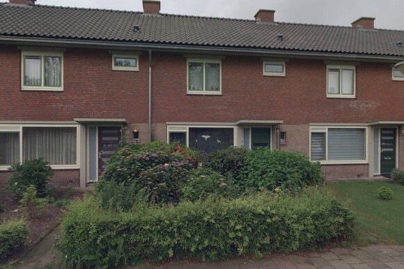 Boterbloem 11