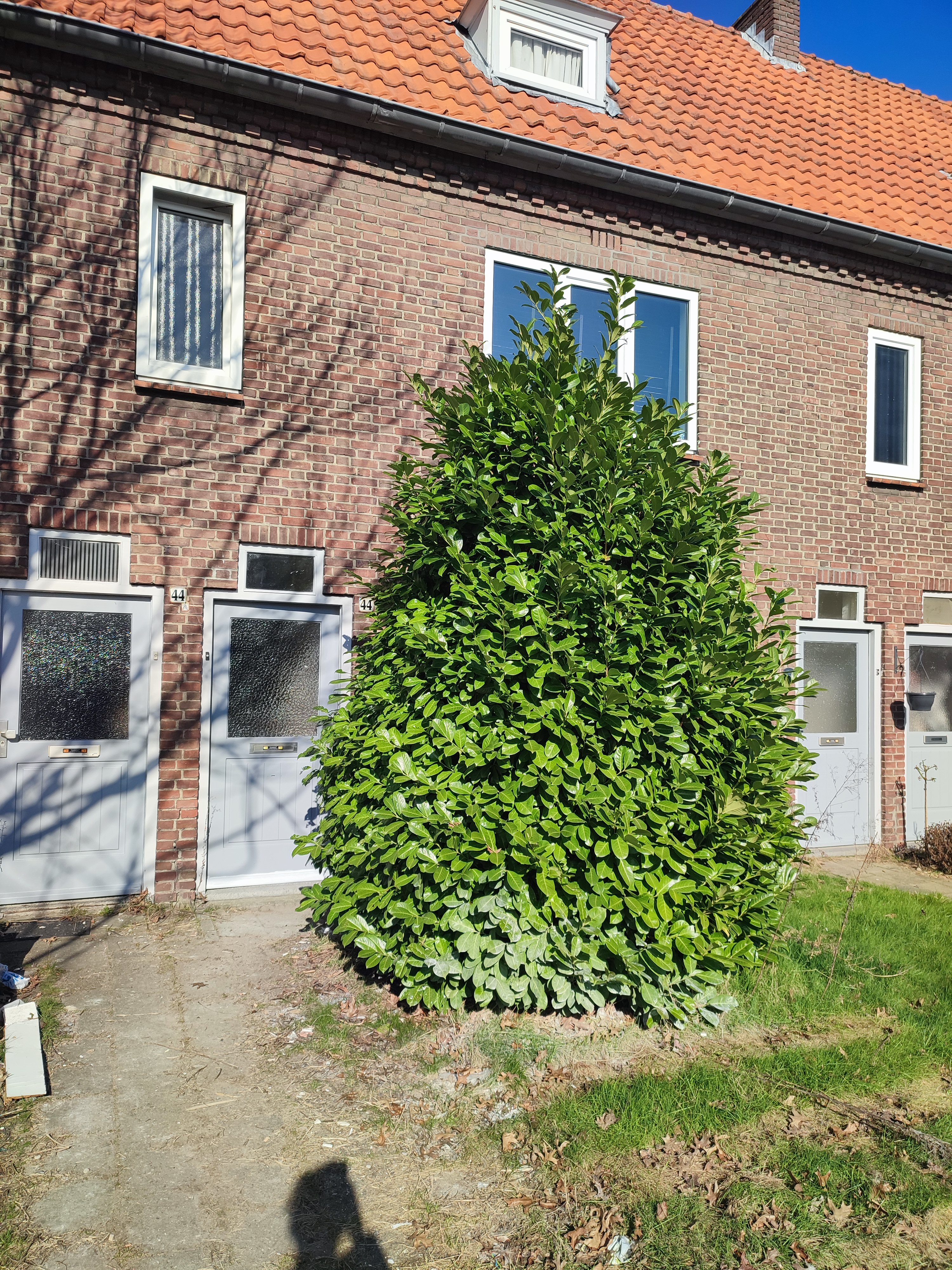 Willemprinzenstraat 44, 5701 BJ Helmond, Nederland