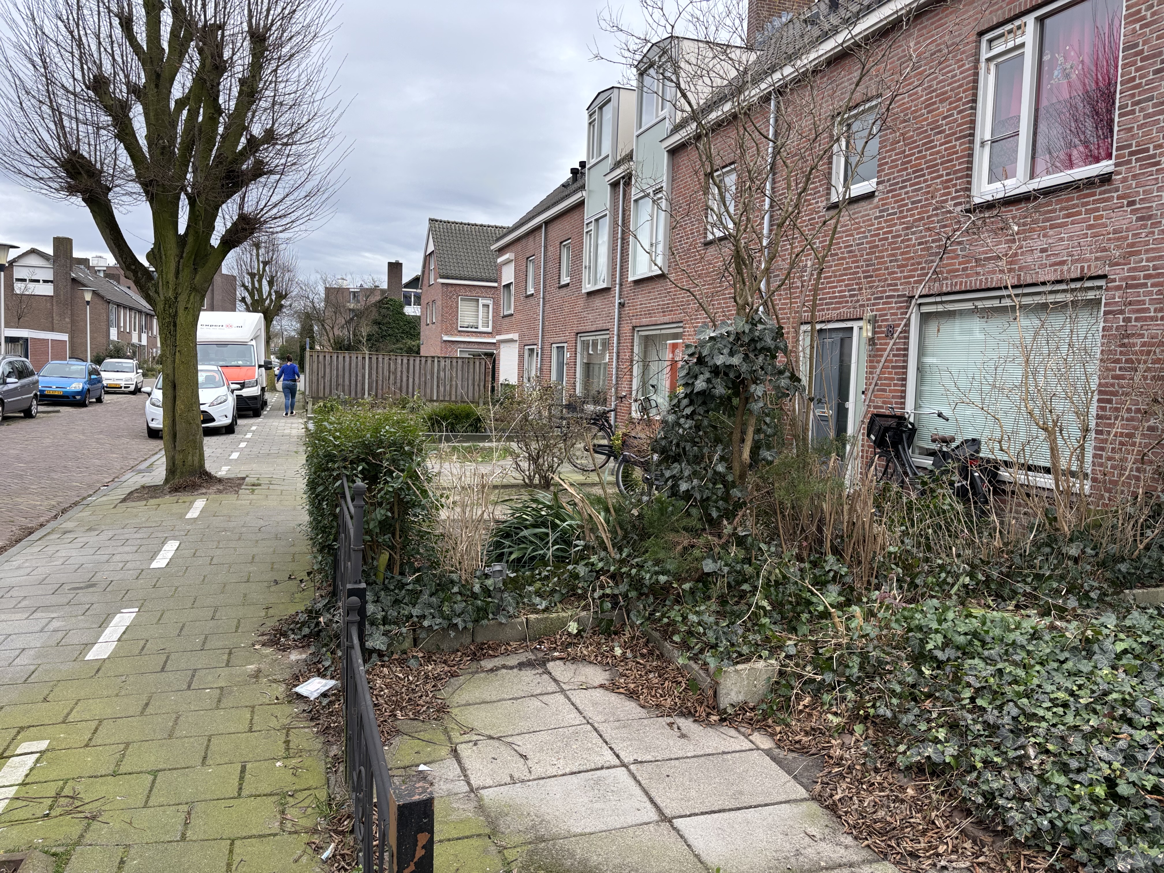 Gerard Terborchstraat 20