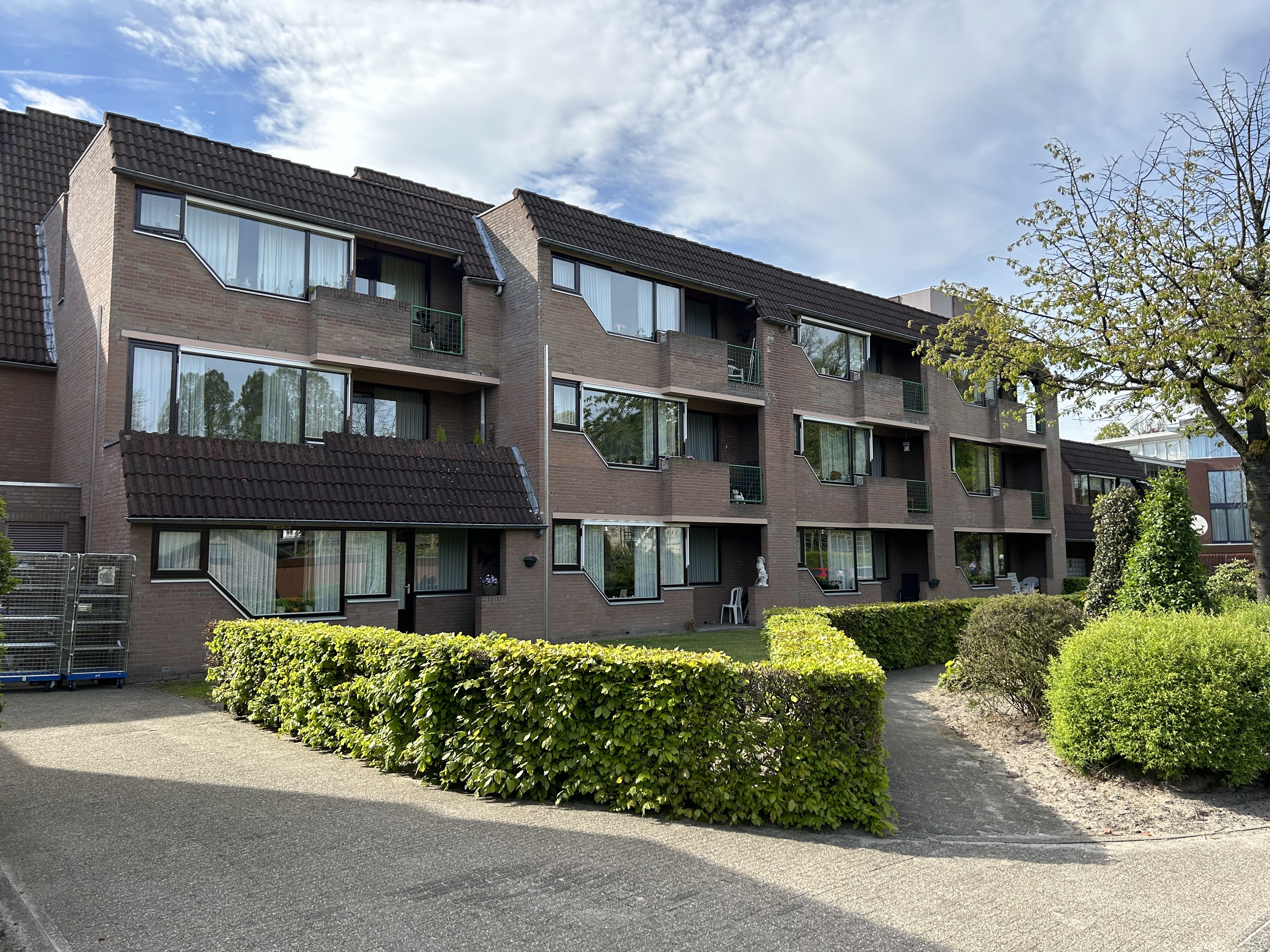 Hof 53, 5571 CB Bergeijk, Nederland