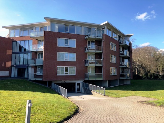 Hof 53, 5571 CB Bergeijk, Nederland