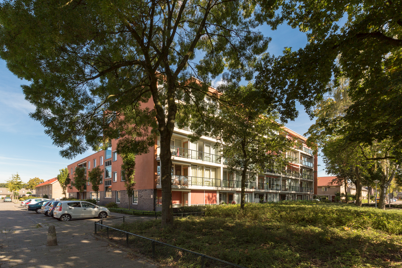 Brasschaatpad 6F