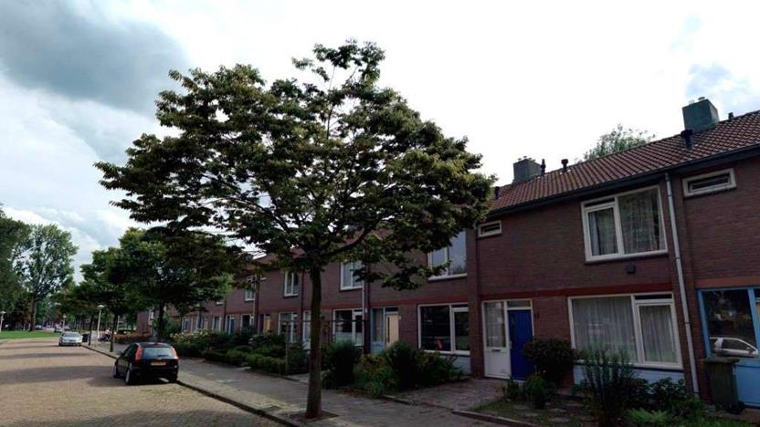 Vivaldistraat 84