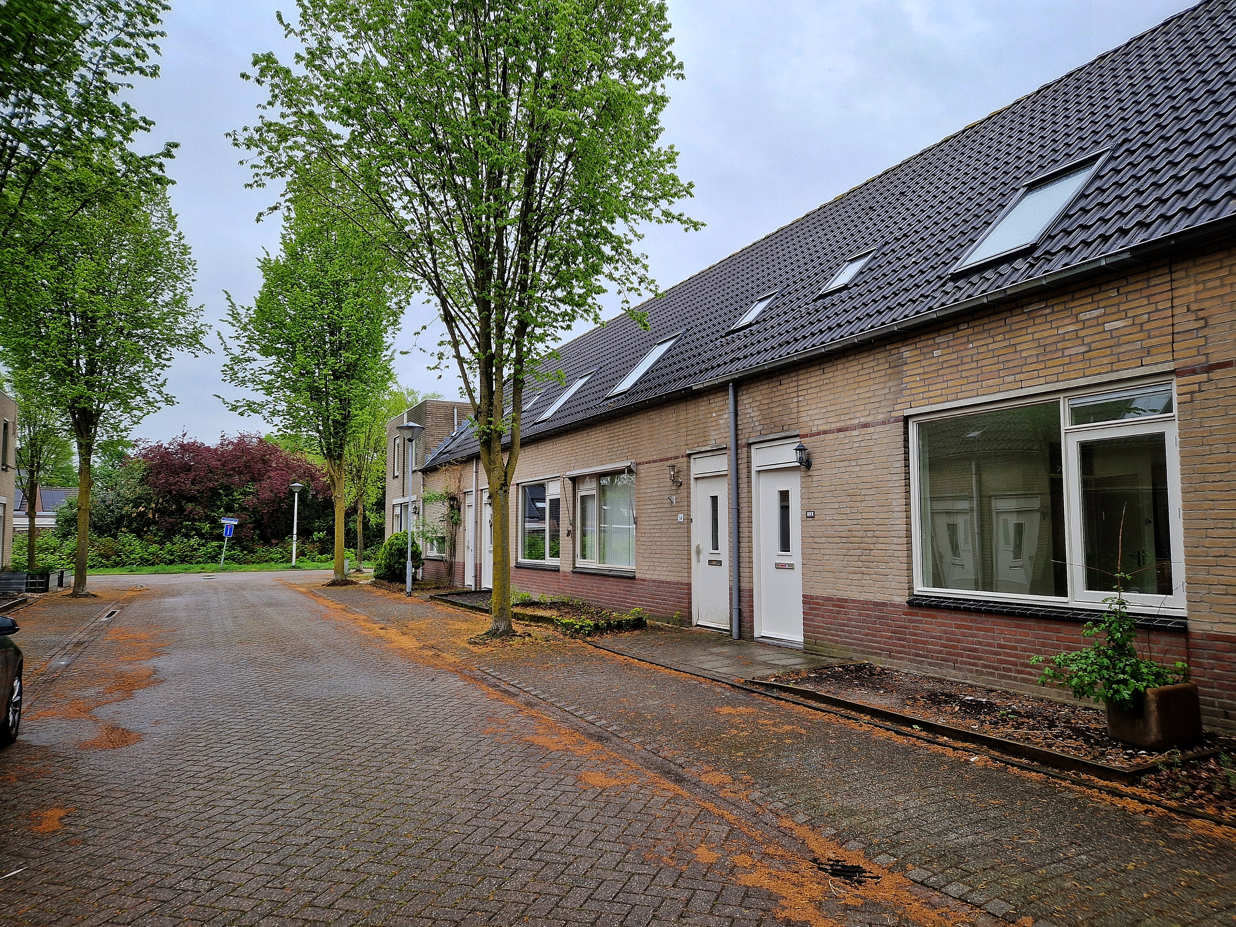 Antilopelaan 12