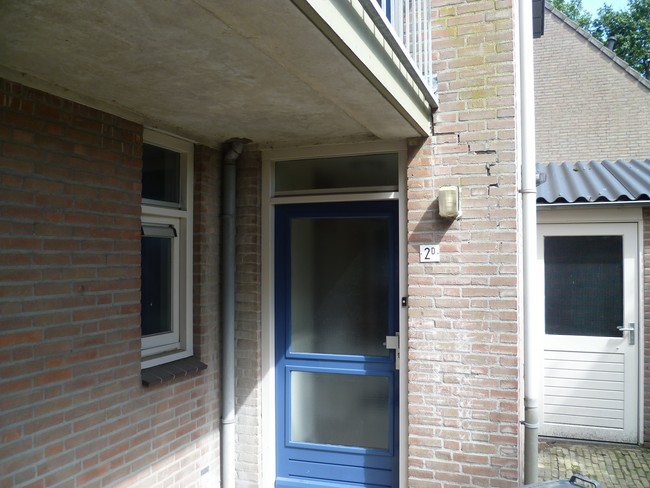De Wijer 2D