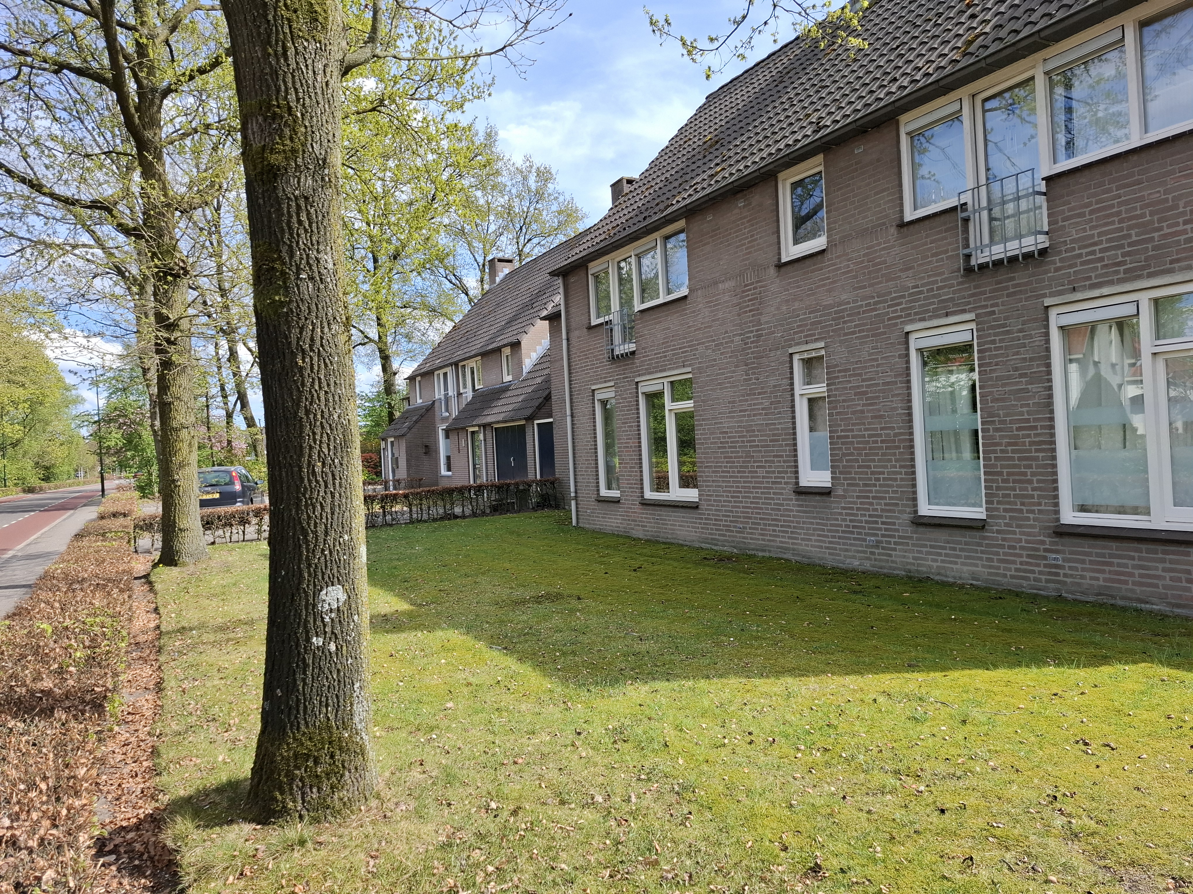 De Wijer 2D