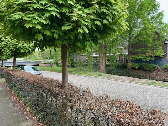 Beekstraat 6