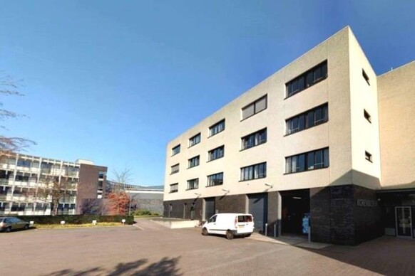 Korenbloem 10