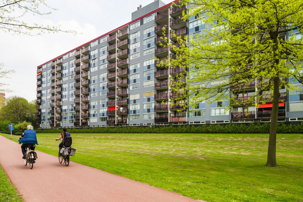 Cliostraat 97