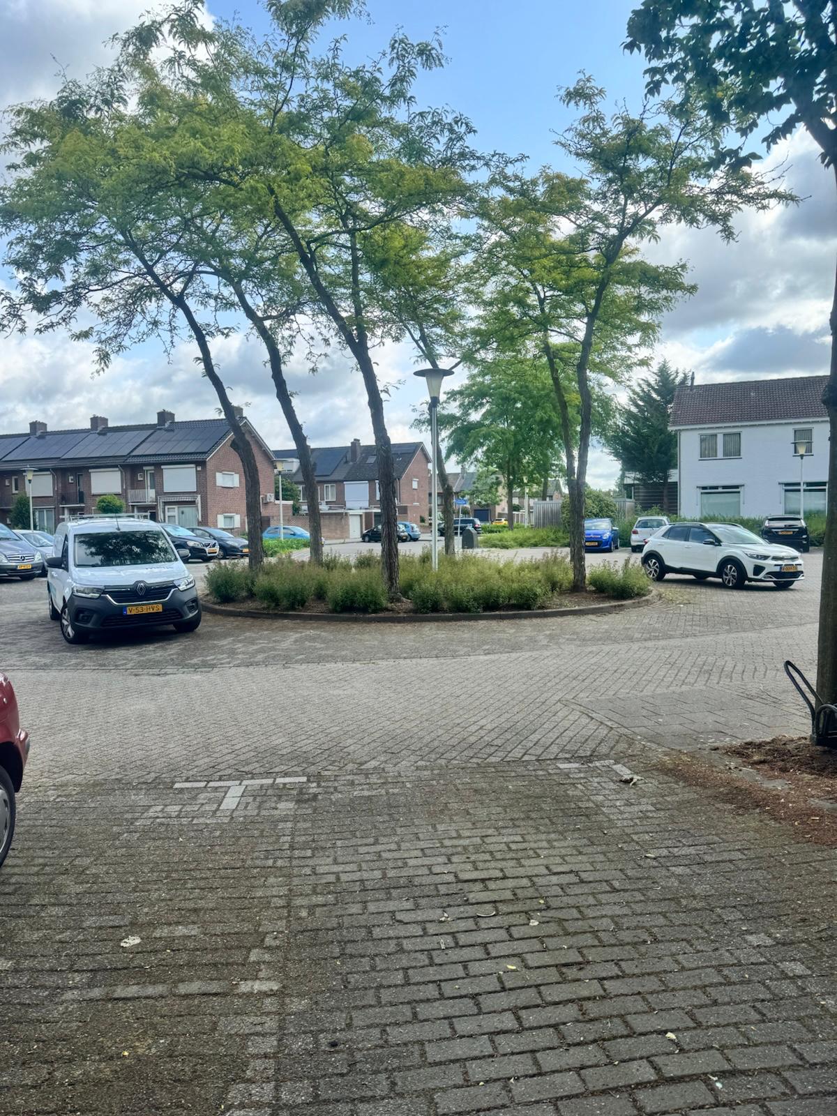Piet Soerplantsoen 60