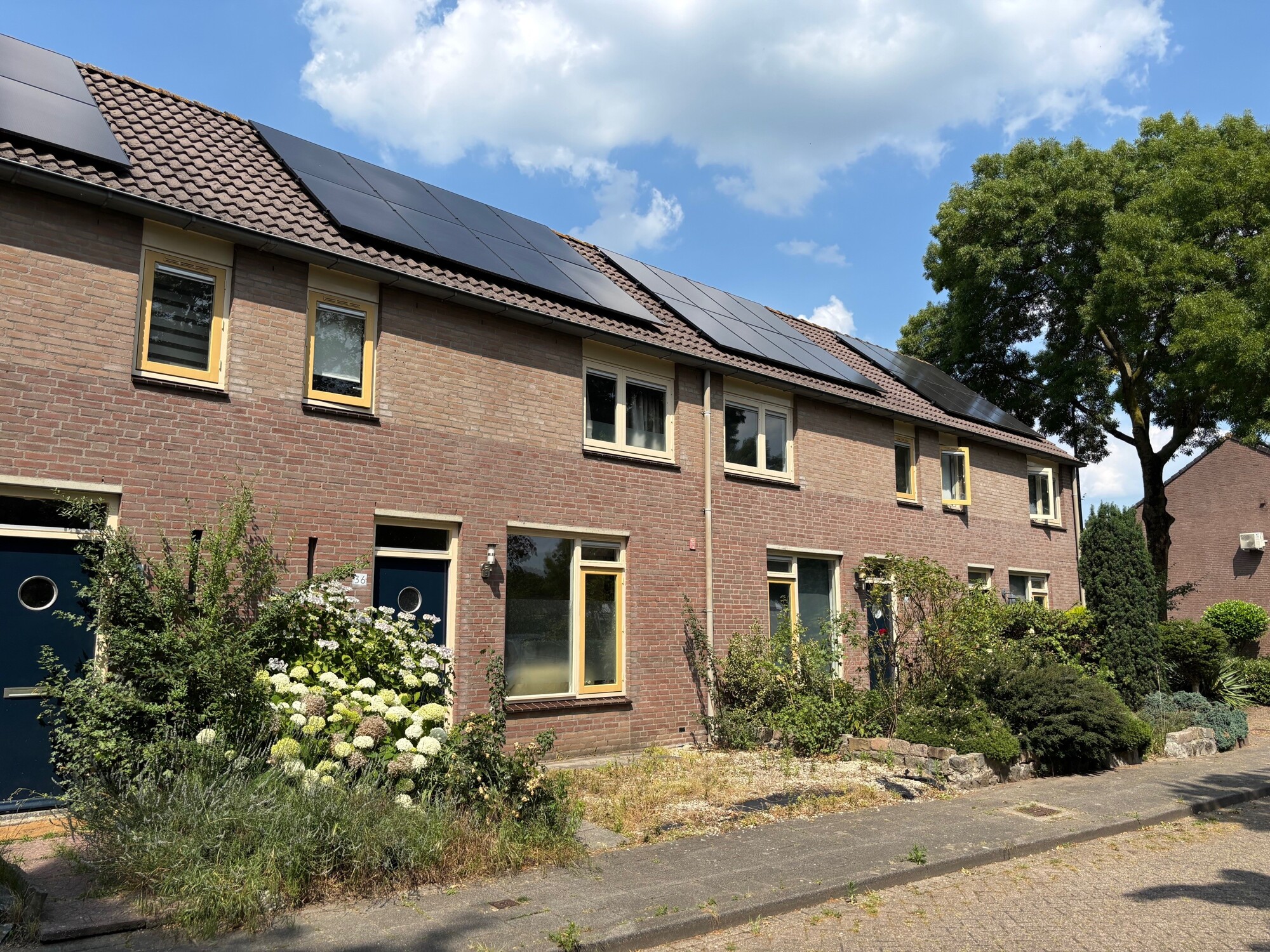 Scheldestraat 36