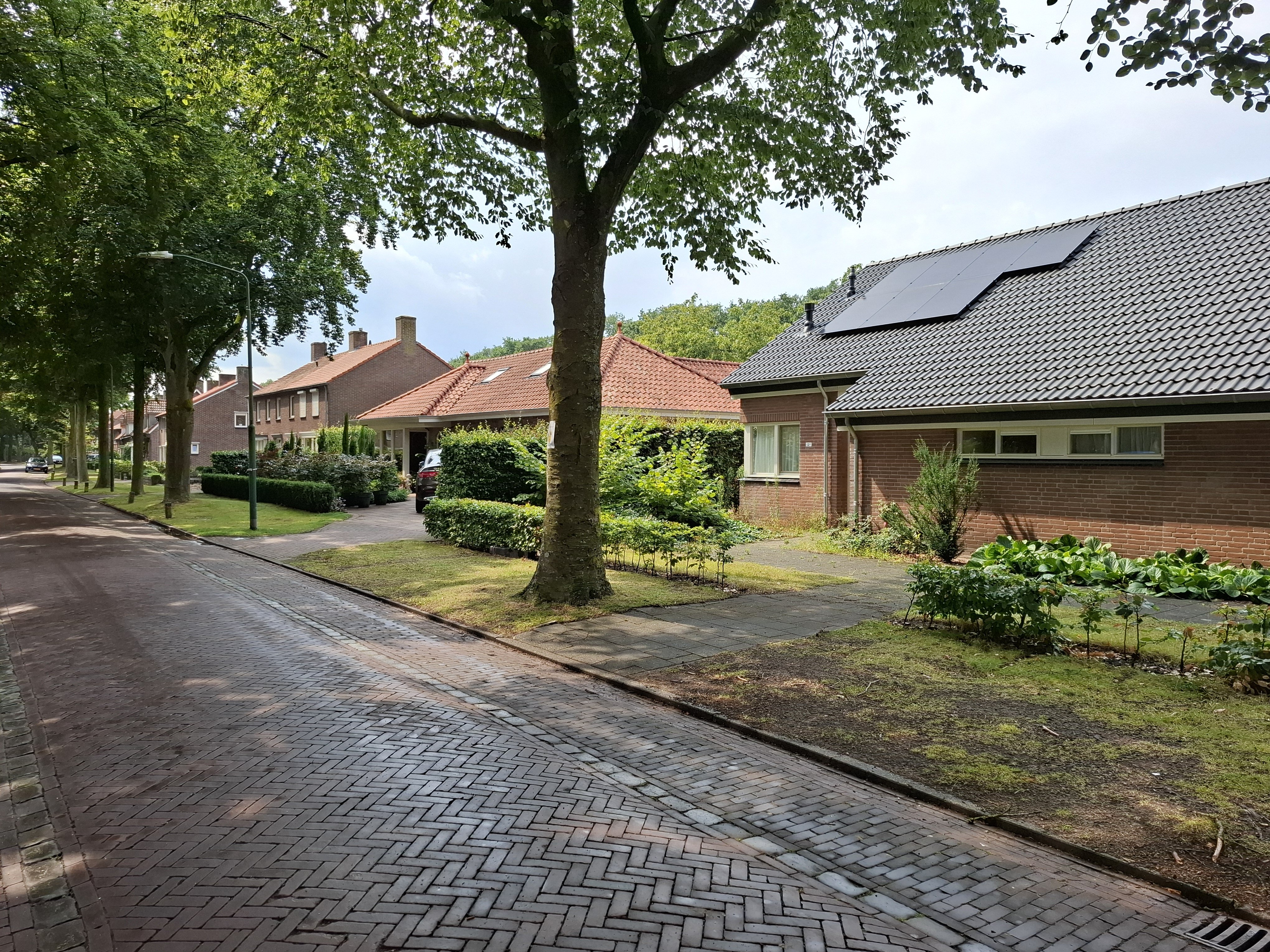 Beukenlaan 12a