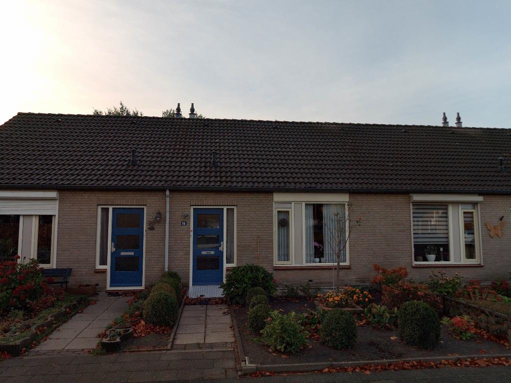 Blauwborst 18