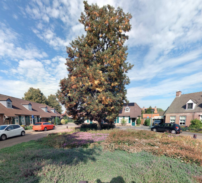 Wethouder Notenplein 6