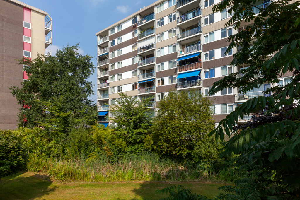 Vaalserbergweg 145, 5628 CA Eindhoven, Nederland