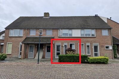 Blokekker 65
