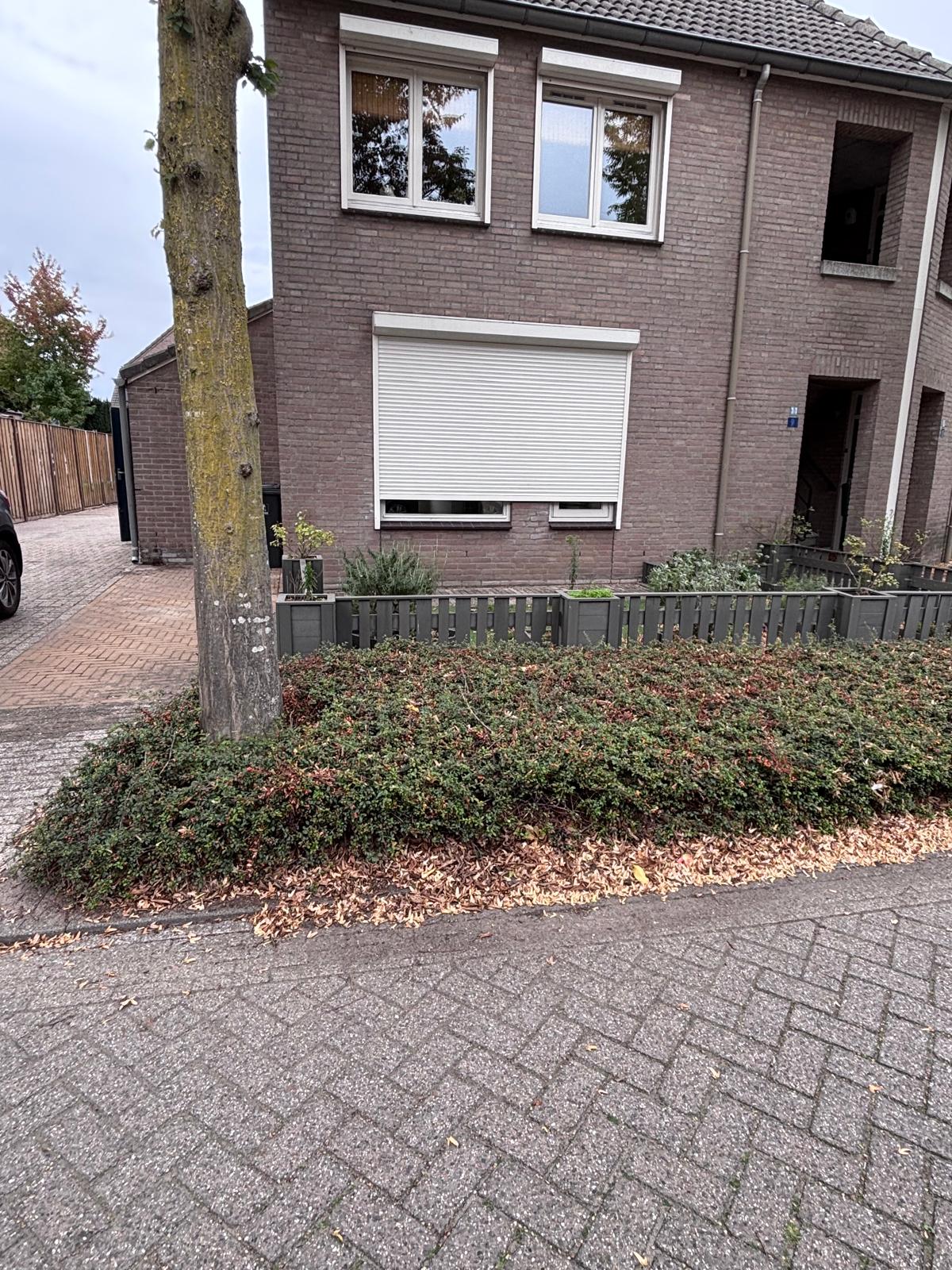 Heggeroosstraat 9, 5761 GJ Bakel, Nederland